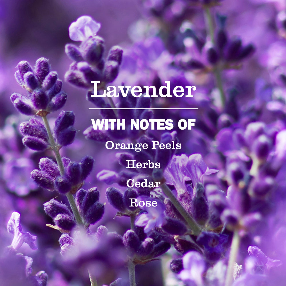 Lavender Plug In Scented Oil Refill. 2-Pack - Image 5