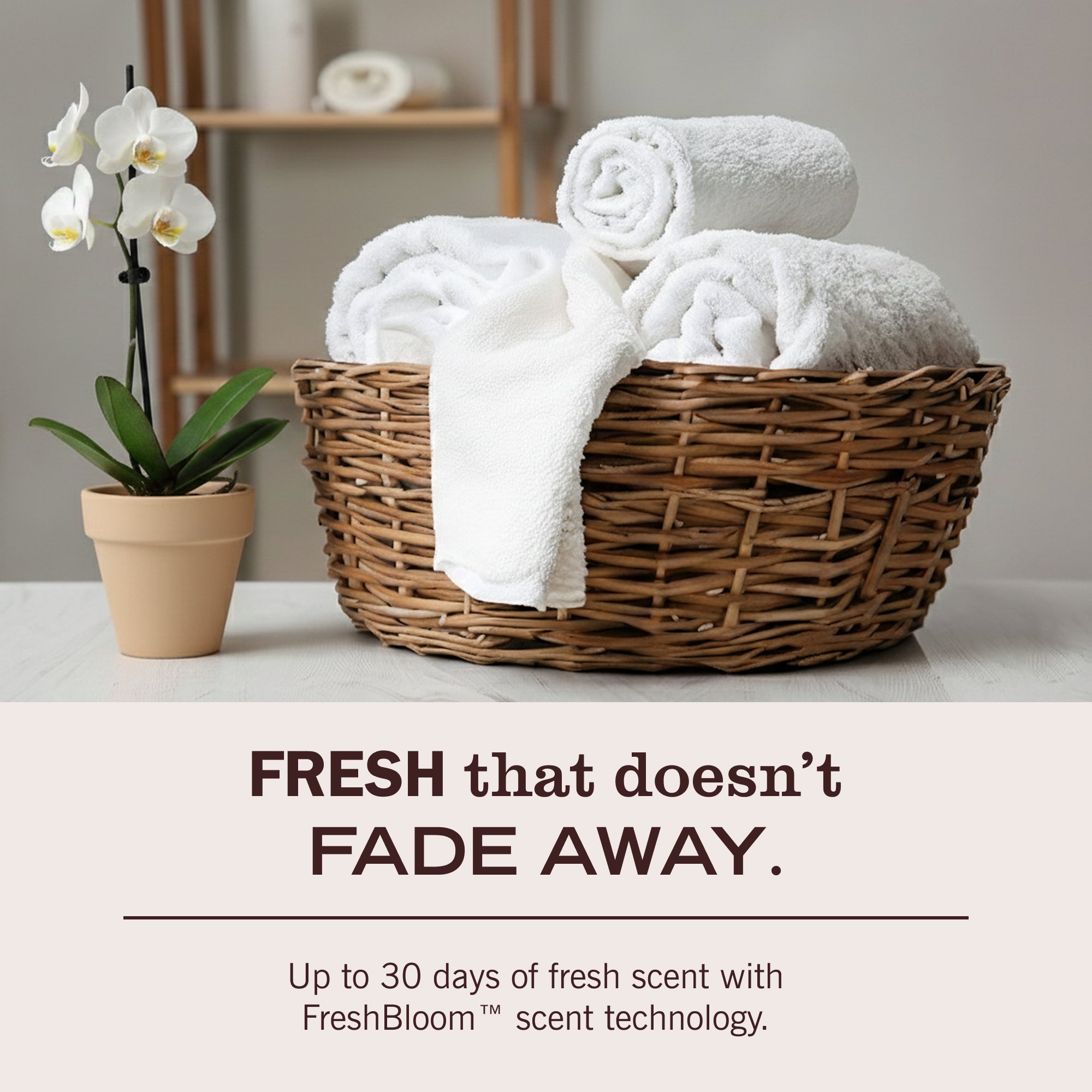 Honeysuckle Laundry Detergent - Image 7
